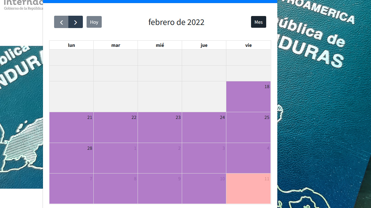 8.- Steps to make a Consular Appointment Honduras USA, Spain and Mexico