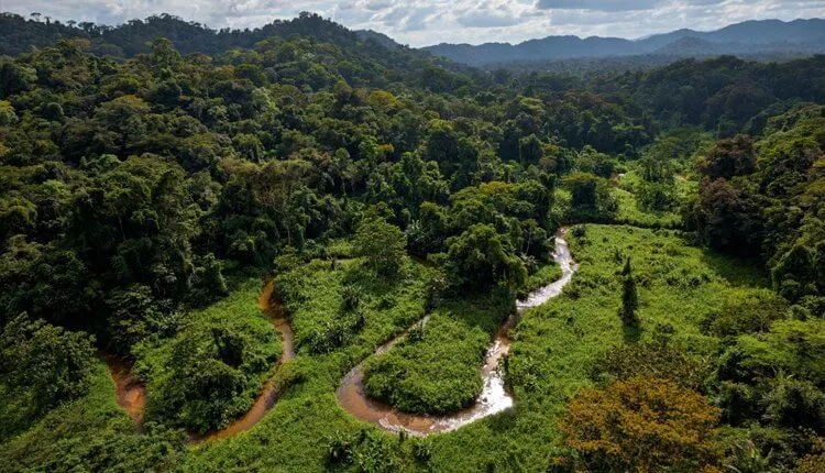 Reserva de la Biosfera de Río Plátano