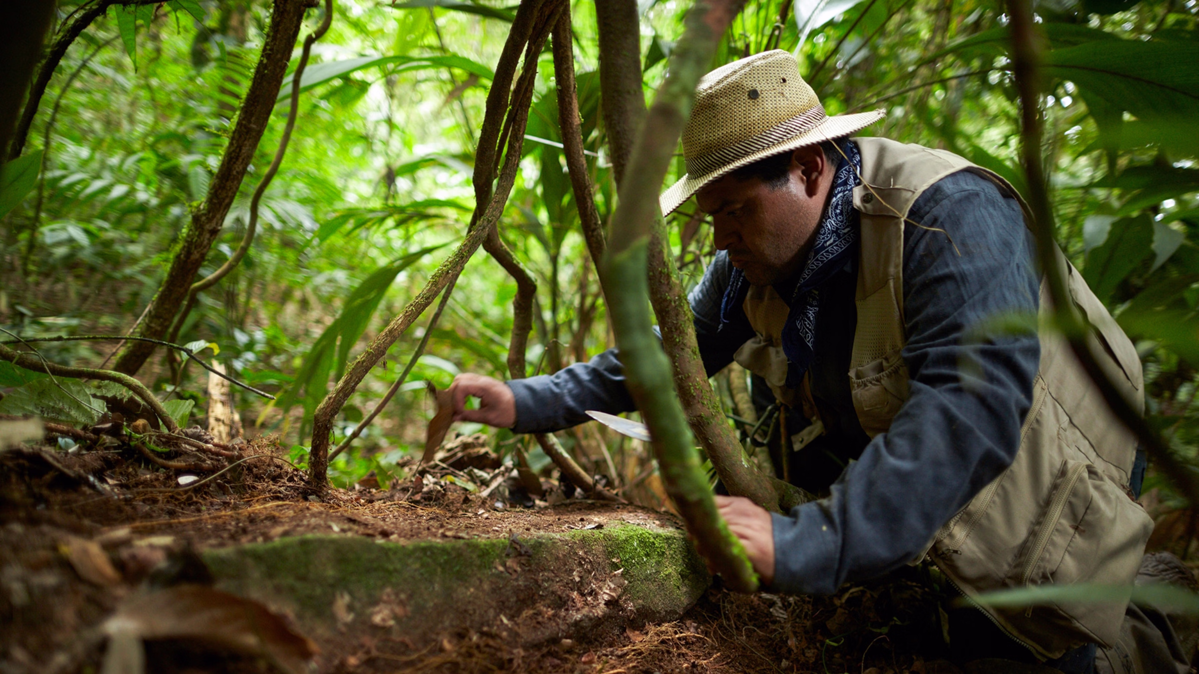 Kaha-Kamasa: La Ciudad Blanca o la ciudad perdida del dios mono