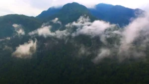 Pico Bonito National Park