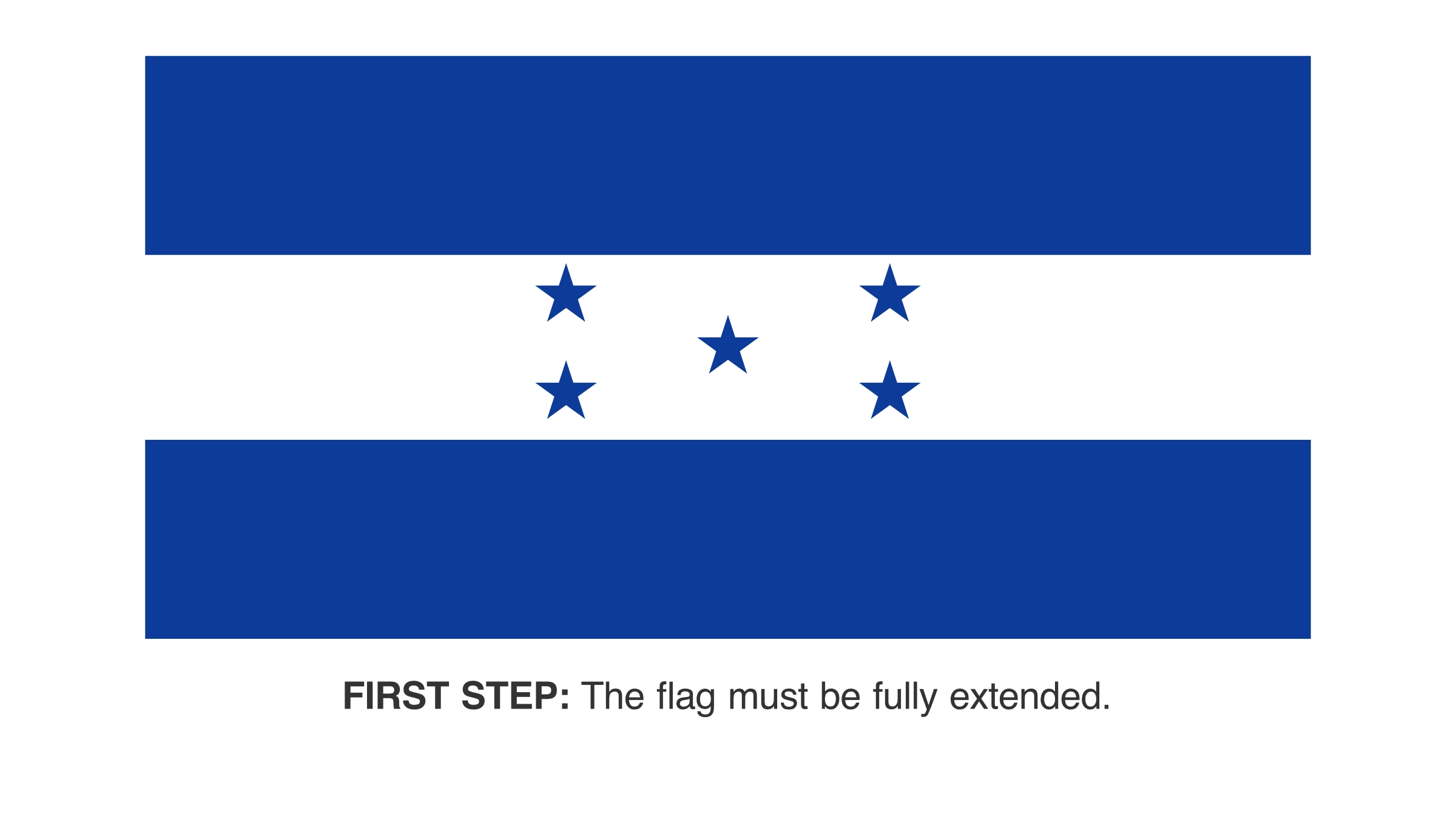 Step 1 – The Flag must be extended