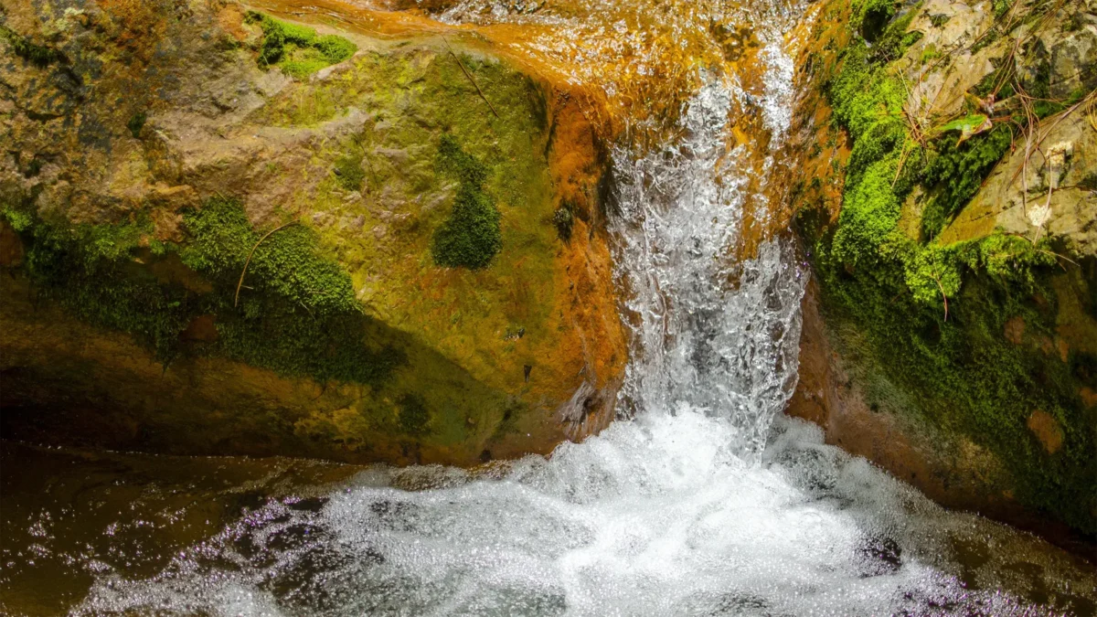 List of Protected Areas and Parks of Honduras