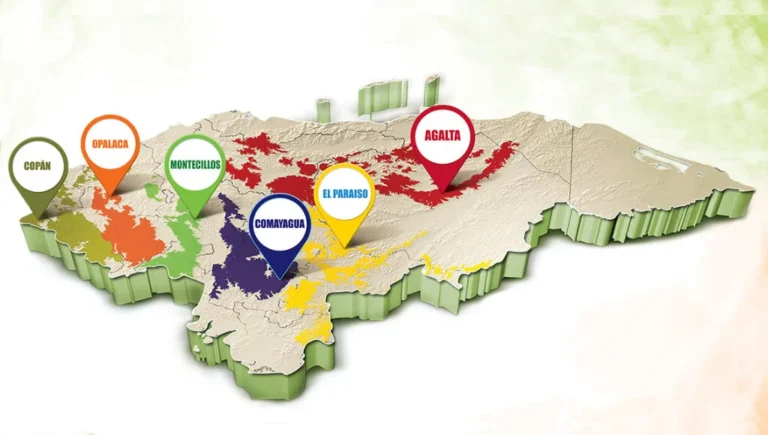 Regiones geográficas del Café en Honduras