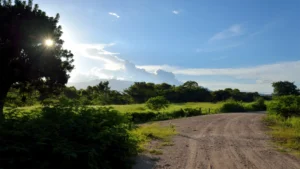 Valleys of Honduras and their production