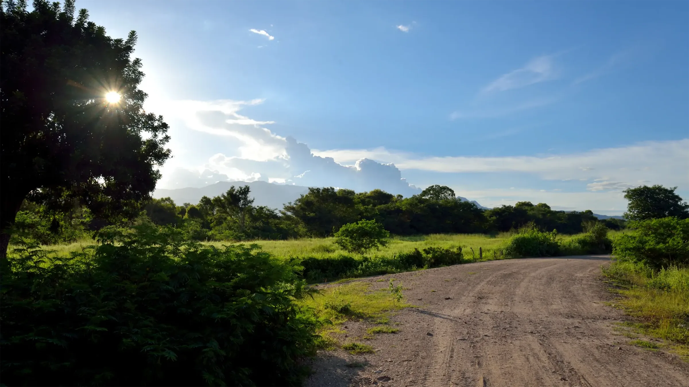 Valleys of Honduras and their production